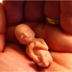 embrion-aborcja-in_vitro