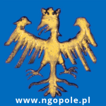 cropped-ngopole-icon.png