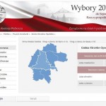 Głosy oddane do Sejmu w Strzelcach Opolskich [http://wybory2011.pkw.gov.pl/wyn/160000/pl/161105.html#tabs-1]