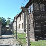 KL Auschwitz fot. NGOpole.pl