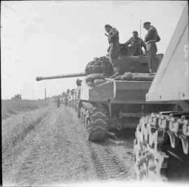 Czołgi 1 Dywizji Pancernej ze oznaczeneim PL w Normandii w 1944. wikipedia