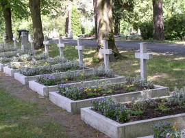 Aleja wrześniowa na cmentarzu w Opolu