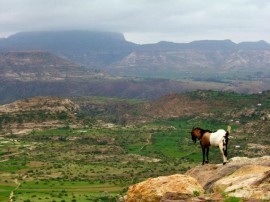 etiopia-gory