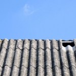 close up on corrugated asbestos roof on byre in Poland