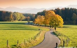 Winding Country Road through autumnal Landscape, vivid colored Maple Trees, Mountains in Background